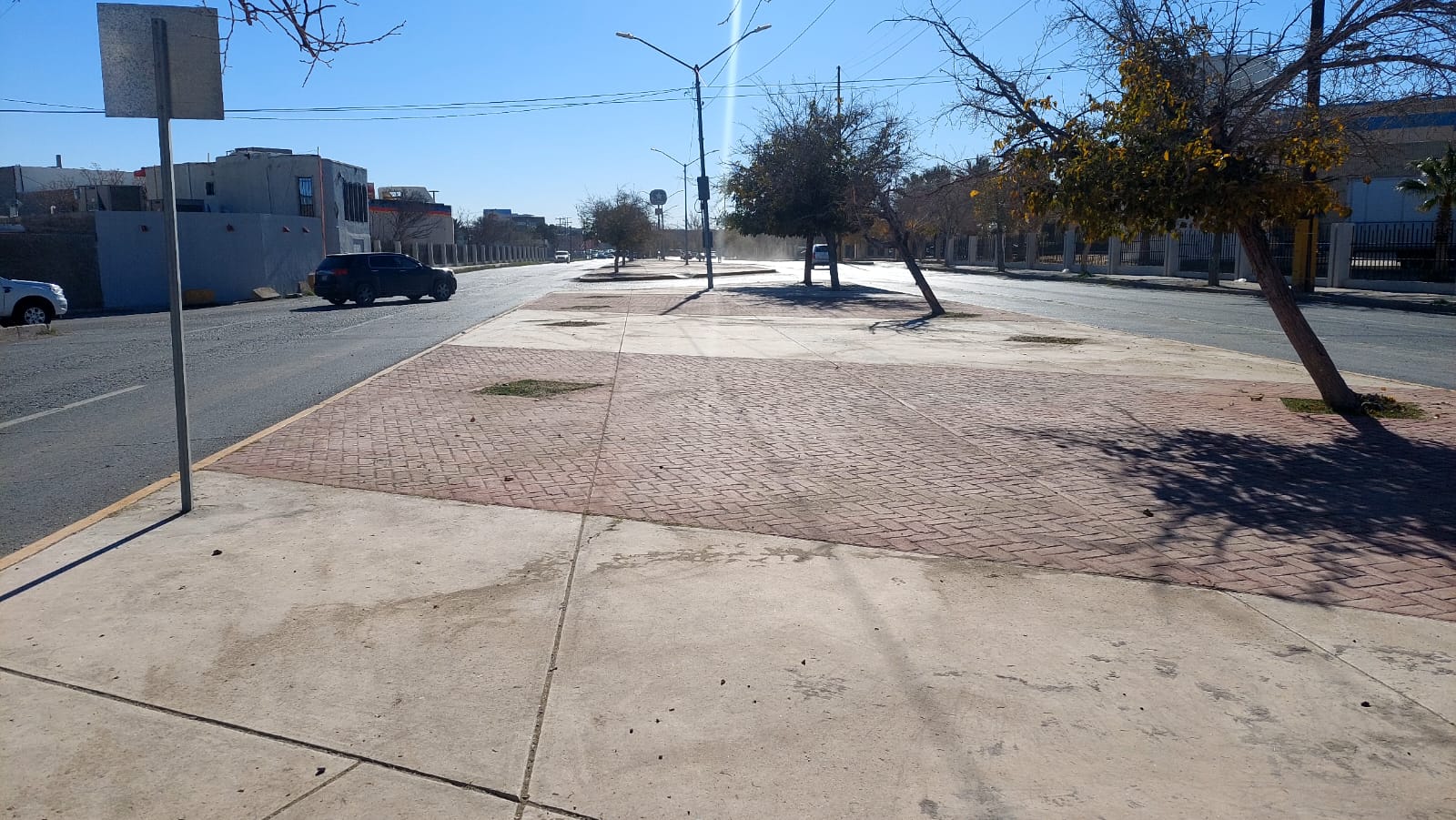 Renuevan camellón de Laguna de Tamiahua con jornada intensiva de mantenimiento