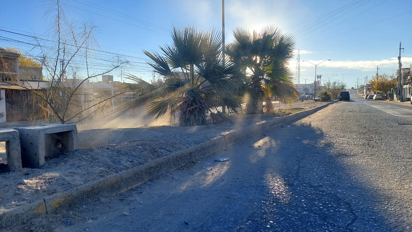 Mantienen en buen estado camellón del bulevar Búfalo
