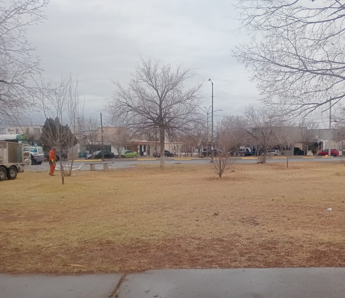 Brigadas municipales renuevan áreas verdes en Horizontes del Sur
