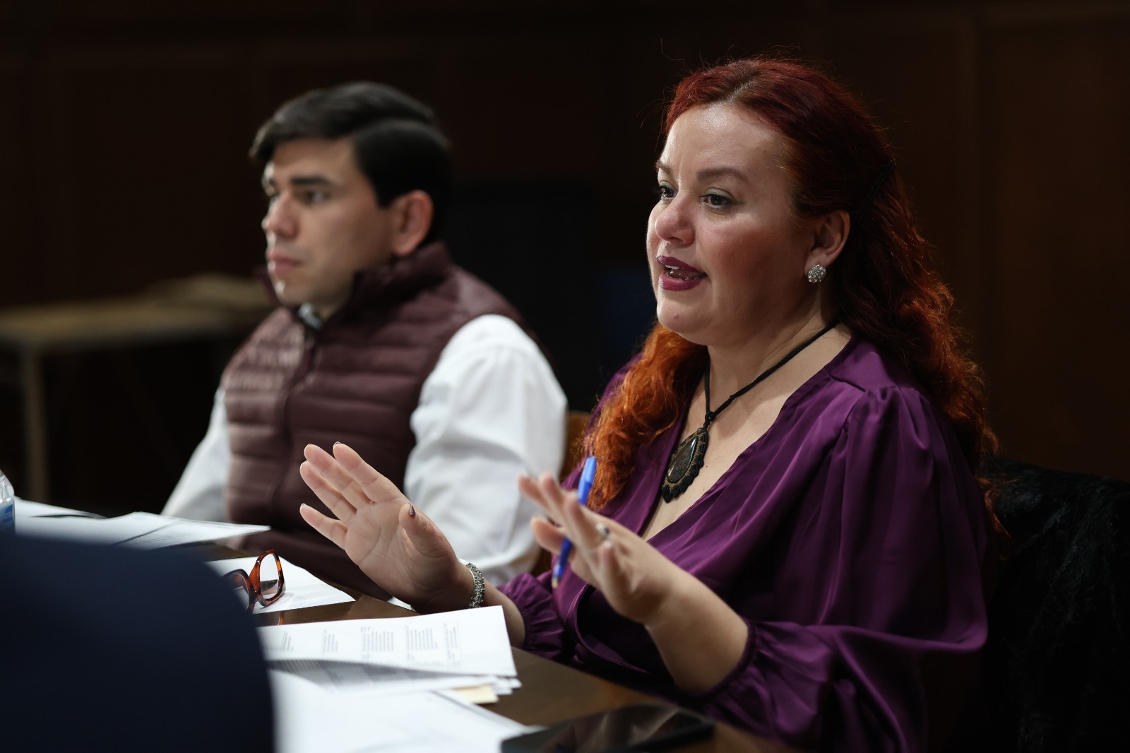 IPACULT arranca el año con sesión clave para definir la agenda cultural 2026