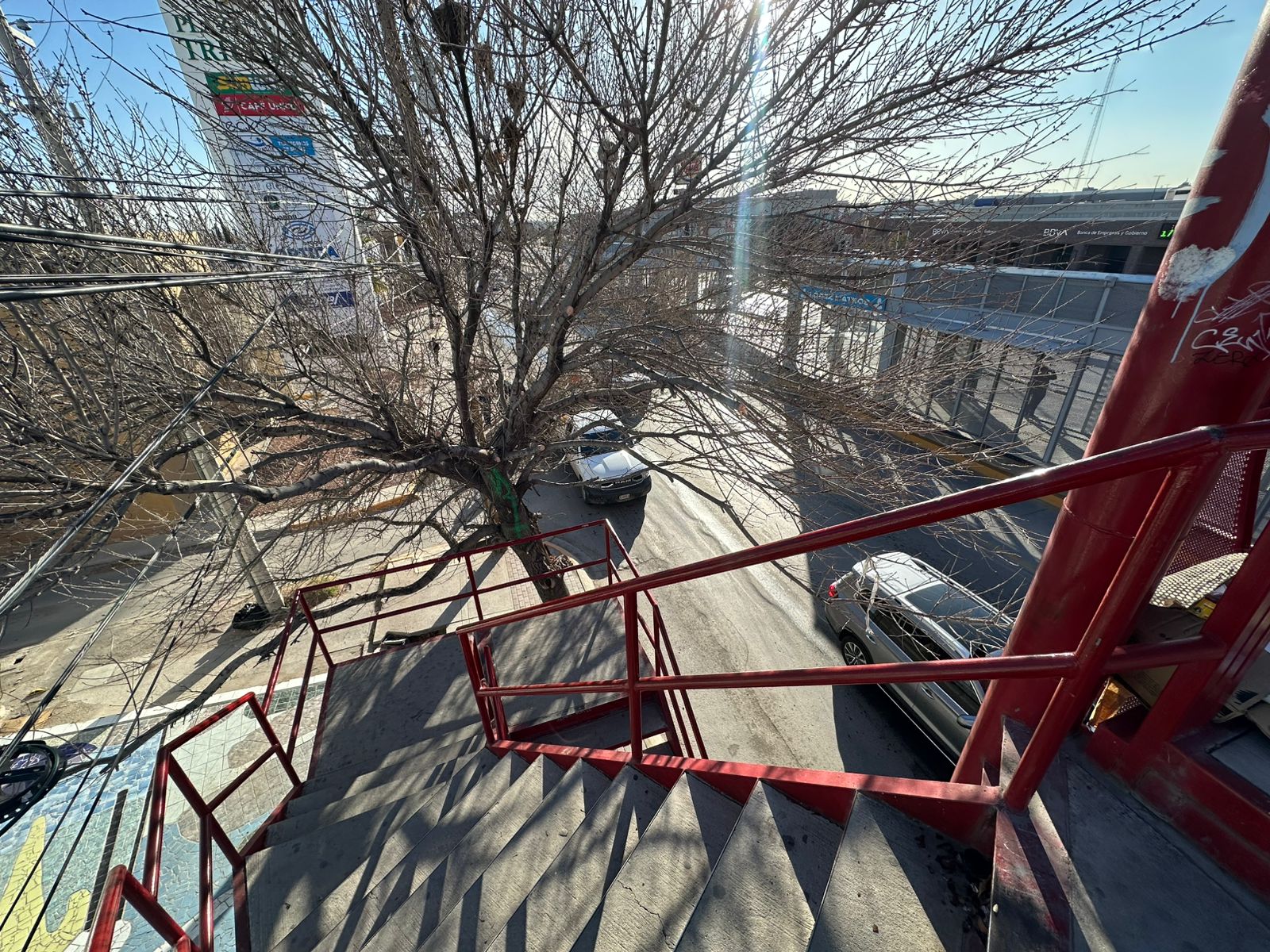 Poda preventiva mejora seguridad peatonal en Paseo Triunfo de la República