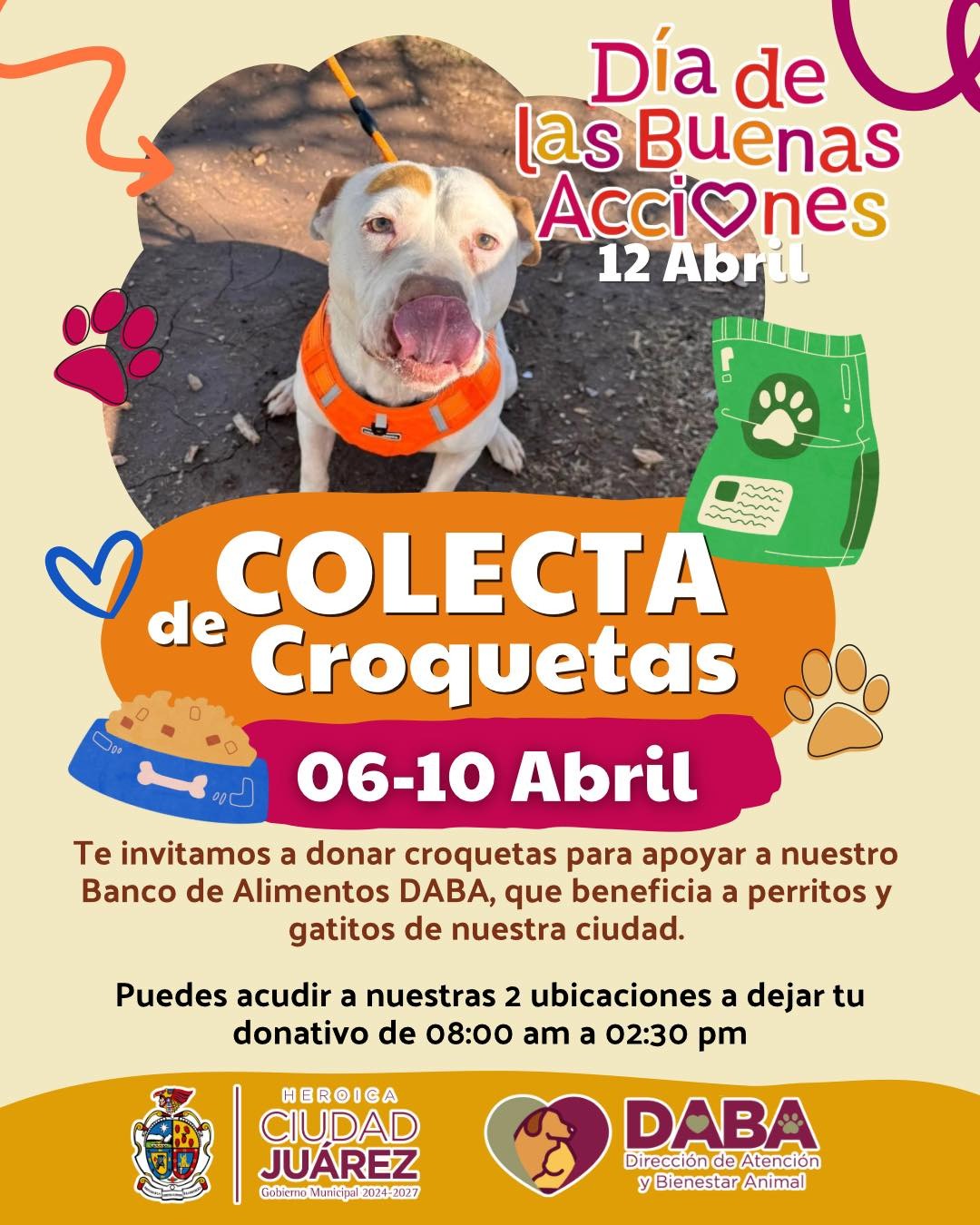 ¡Échales una pata! Lanzan gran colecta de croquetas para apoyar a refugios y animales rescatados en Juárez